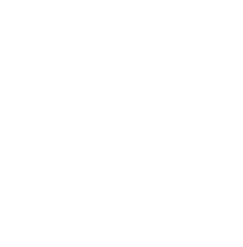 firstIcon